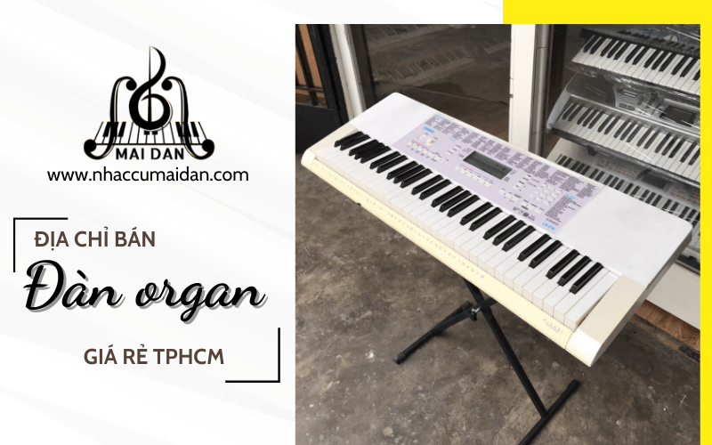 đàn organ giá rẻ TPHCM