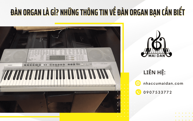 Đàn Organ