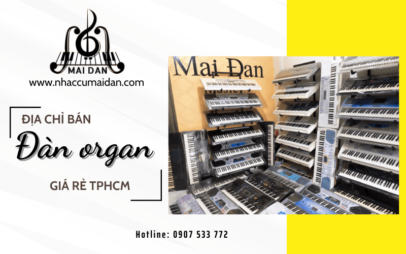 đàn organ giá rẻ TPHCM