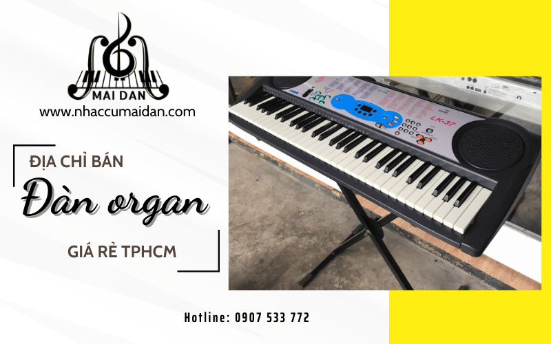 đàn organ giá rẻ TPHCM