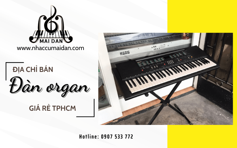 đàn organ giá rẻ TPHCM