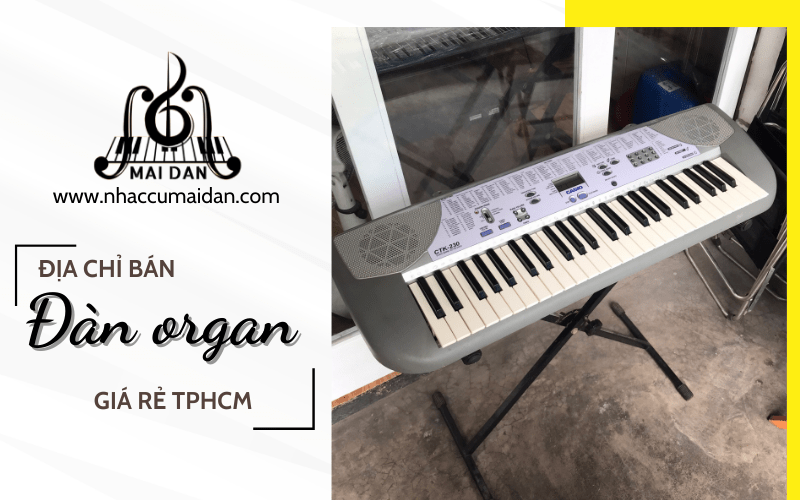 đàn organ giá rẻ TPHCM