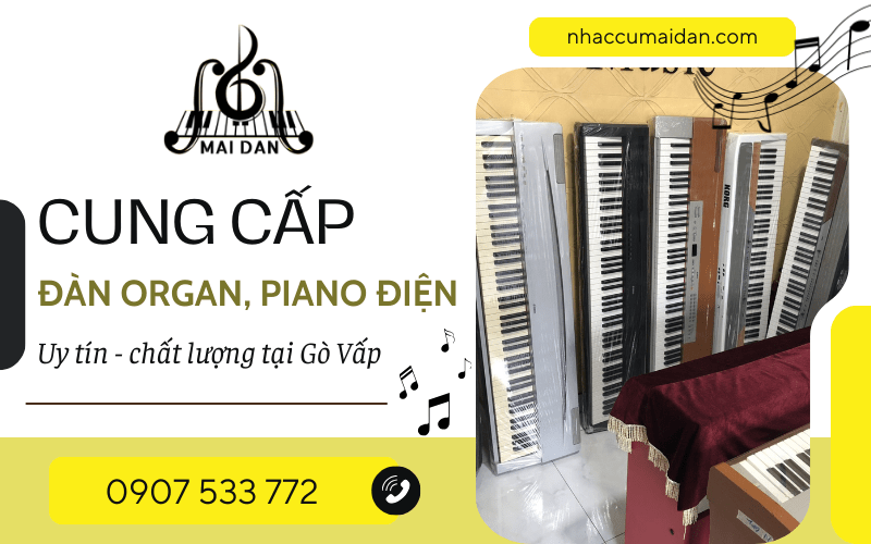 piano điện Gò Vấp