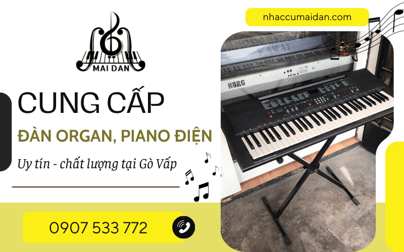 piano điện Gò Vấp