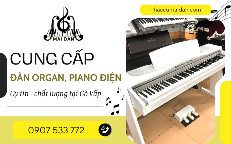 piano điện Gò Vấp