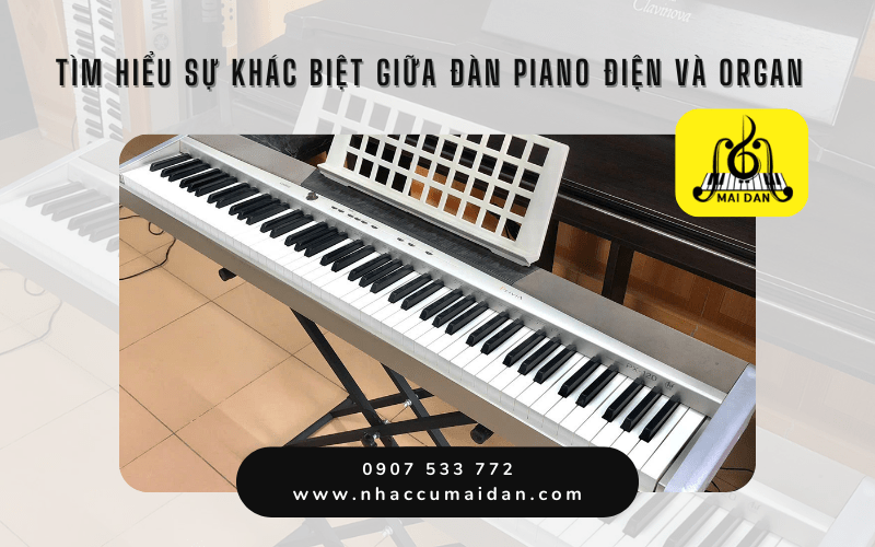 đàn piano điện và organ