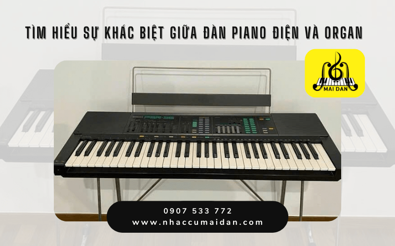 đàn piano điện và organ