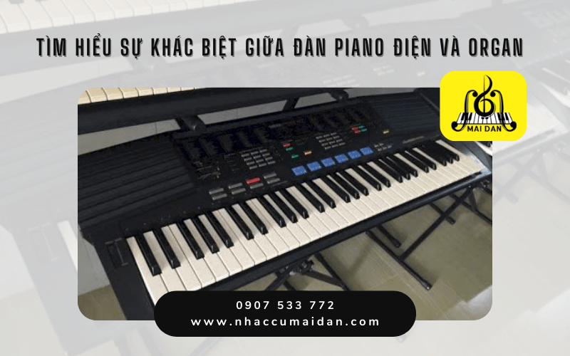 đàn piano điện và organ