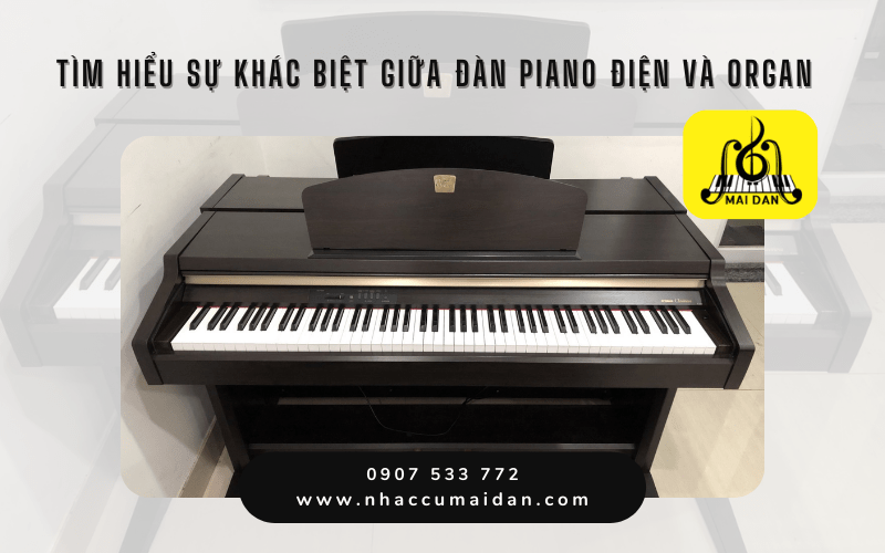 đàn piano điện và organ