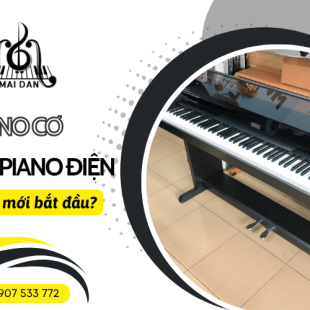 Nên chọn đàn piano cơ hay đàn piano điện cho người mới bắt đầu?