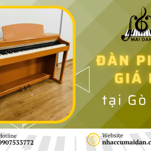 "Thế giới" đàn piano giá rẻ Quận Gò Vấp tại Nhạc Cụ Mai Đan