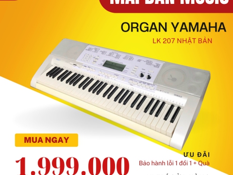 Đàn Organ