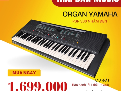 Đàn Organ