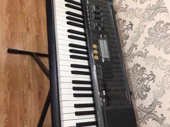 Đàn Organ Piano LK-113