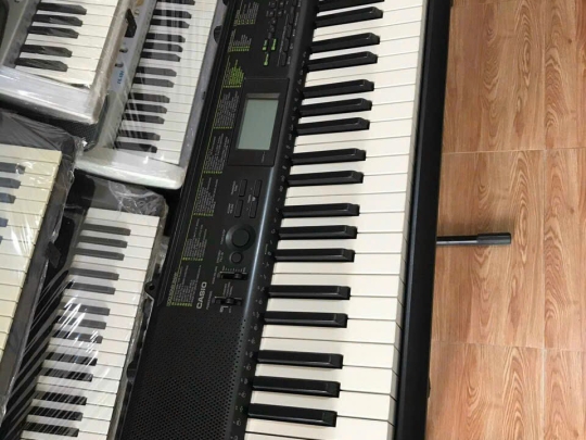 Đàn Organ CTK-1100