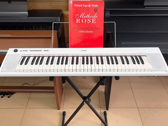 Đàn Piano Yamaha NP-12 