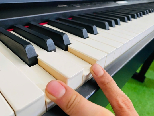 Đàn Piano Điện Roland HP 508-GP 