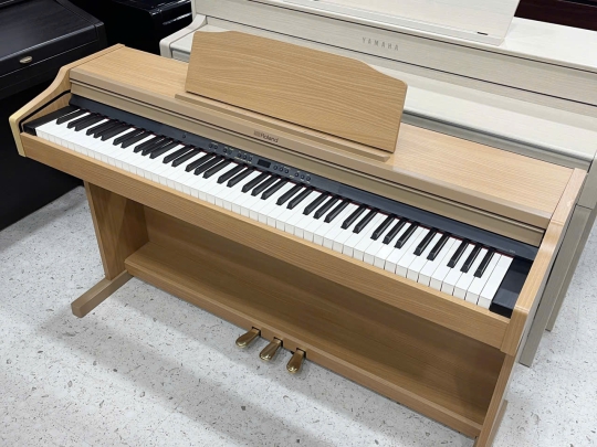 Piano Roland RP-501