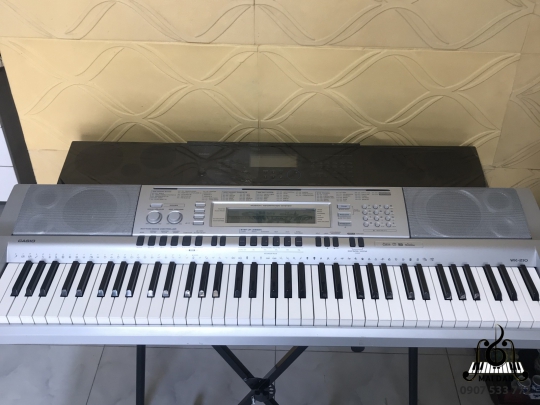 Đàn Organ WK-210