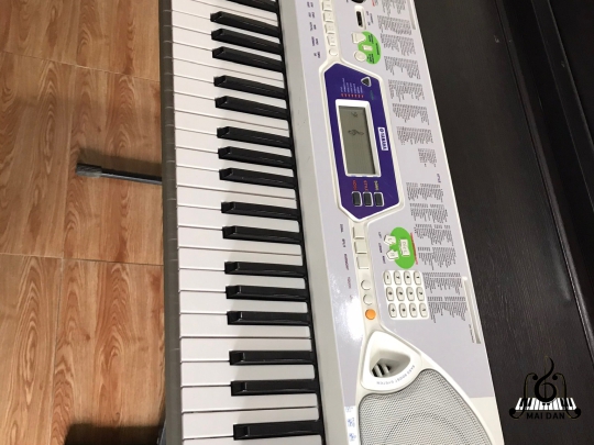 Đàn Organ EZ-J25
