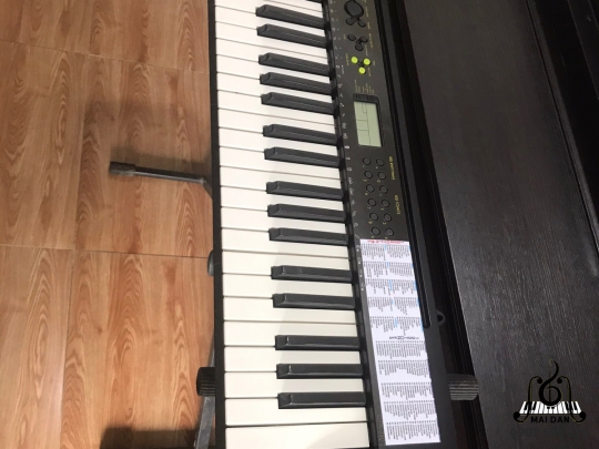 Đàn Organ CTK-240