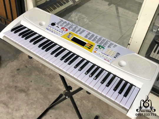 Đàn Organ EZ-J15