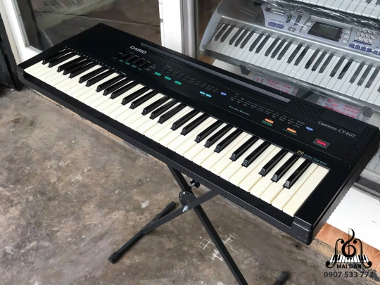 Đàn Organ CT-607