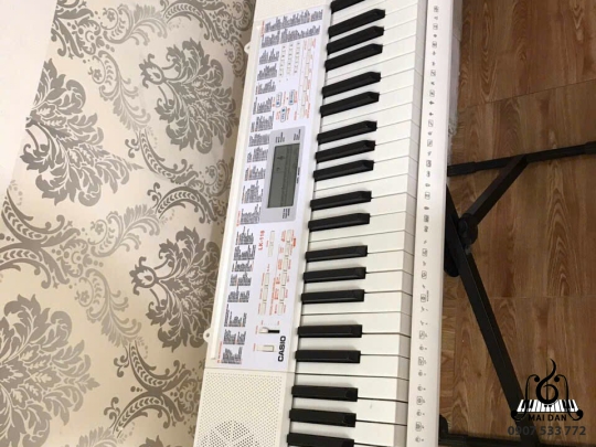 Đàn Organ LK-118