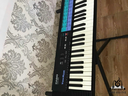 Đàn Organ CA-100