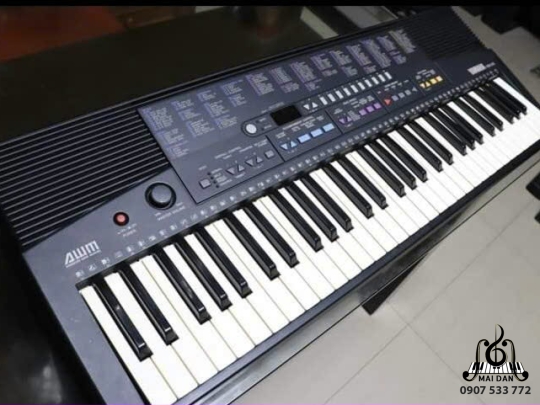 Đàn Organ PSR-210