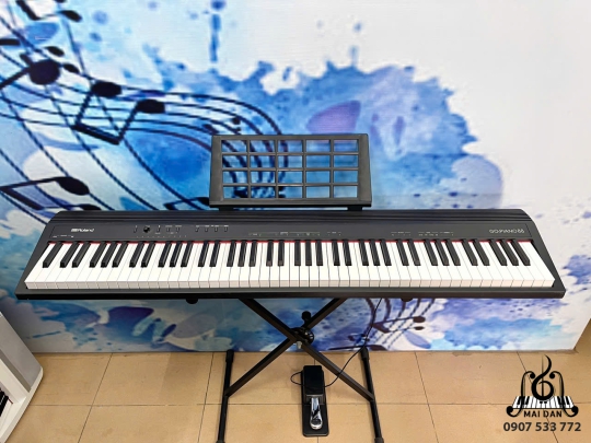 Roland GO:PIANO88